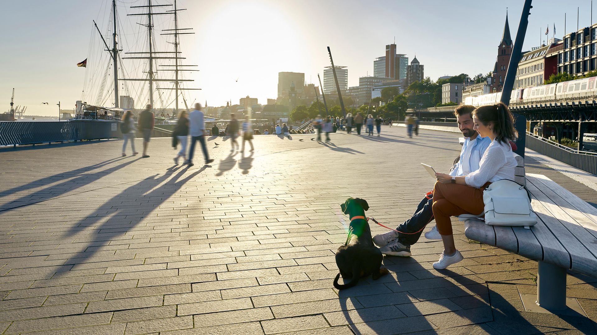 Zwei Personen mit Hund sitzen in der Abendsonne auf einer Bank am Hafen und schauen auf ein Tablet