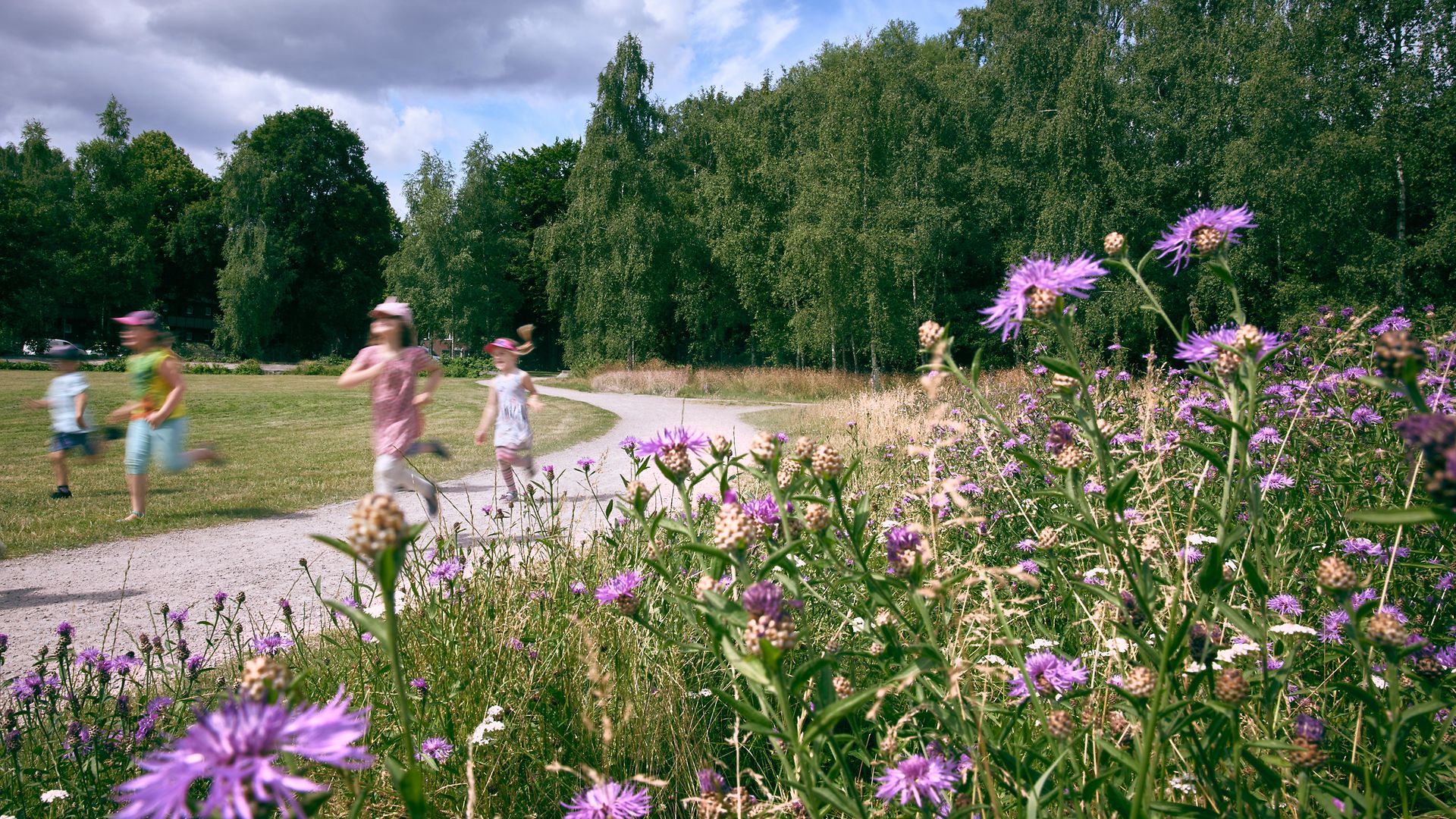 Kinder laufen auf einem Feldweg entlang einer Blumenwiese